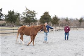 LR-2025-03-15 Retreat-1366